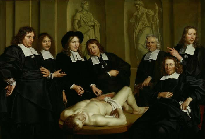 V.l.n.r. Leendert Janszn. Fruyt (1620-1701), Aert Claesz. van Swieten (1618-1685), Frederik Ruysch (1638-1731), Gillis Abrahamsz. Hondecoeter (1635-1697), Rogier Jansz. de Coen (1600-1678), Joris Jansz. van Loon (1607-1680) en Jacob Brandt (1628-1680). De anatomische les door Dr. Ruysch, geschilderd door Adriaen Backer (1635/1636-1684) Het portret is geschilderd in 1670 voor de Gilde van chirurgen. Tussen 1690 en 1885 heeft het schilderij zich op verschillende plaatsen bevonden. De grootte bedraagt 168x244cm. Beschrijving: een jeugdigde Frederick Ruysch geeft een anatomische les bij een in sterke verkorting geschilderd lijk omringd door 6 personen. Allen in zwarte kleding met platte kragen. Op de achtergrond twee nissen met links een beeld van Galenus van Pergamon en rechts een beeld van Asclepius, geportretteerden: Gillis d'Hondecoeter, Rogier de Coen, Frederik Ruysch, Joris van Loon, Aert van Swieten, Rogier de Cock, Leendert Fruyt. Het schilderij bevindt zich waarschijnlijk in het Rijksmuseum te Amsterdam en is mogelijk een kopie van het oorspronkelijke schilderij dat bij de brand van 1723 van het Theatrum Anatomicum in de St. Anthoniswaag verloren is gegaan.